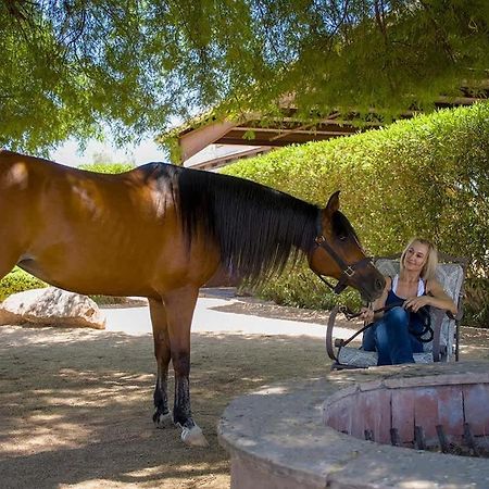 Agave Adobe Βίλα Σκότσντεϊλ Εξωτερικό φωτογραφία