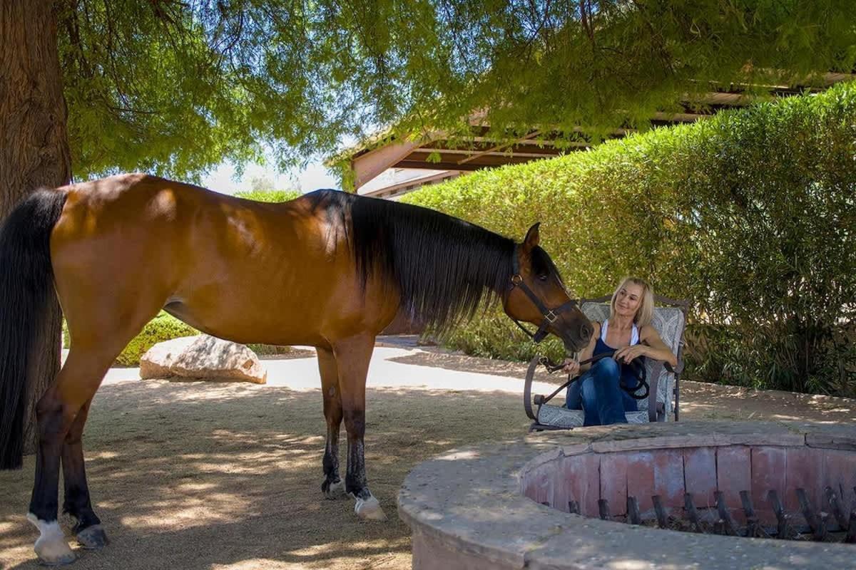 Agave Adobe Βίλα Σκότσντεϊλ Εξωτερικό φωτογραφία